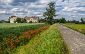 Droga z Opola do Żelaznej fot. Przemysław Supernak, SuperGlob
