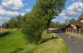 Niewodniki fot. Przemysław Supernak, SuperGlob