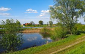 Niewodniki fot. Przemysław Supernak, SuperGlob